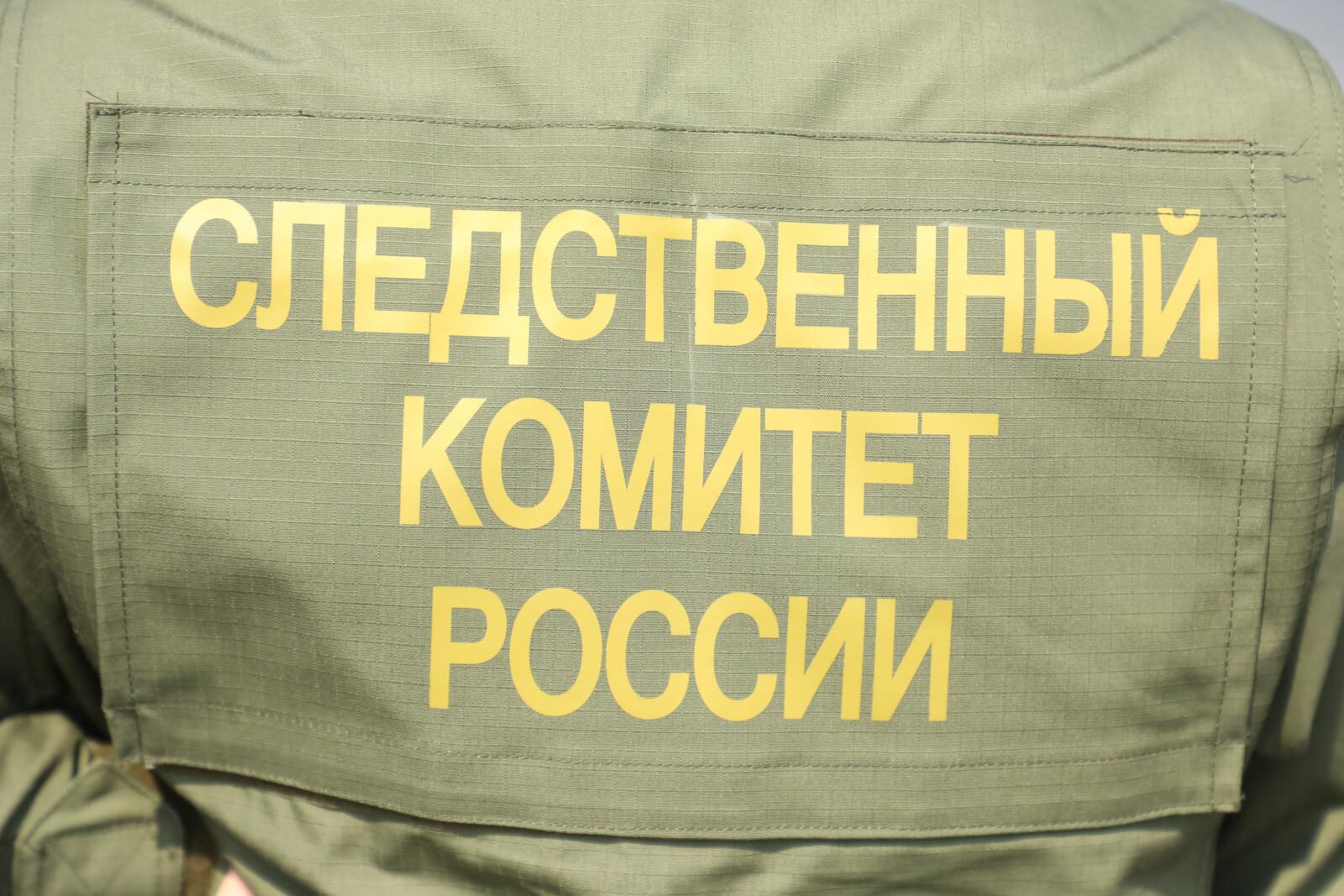Бастрыкин потребовал доклад после стрельбы в ребенка в центре Петербурга