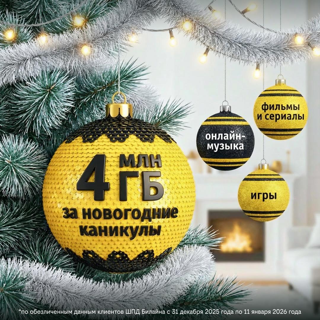 Петербуржцы и жители Ленобласти попали в десятку регионов, где в новогоднюю ночь активно пользовались домашним интернетом Билайна