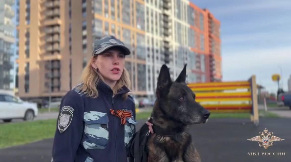 Полицейская собака по запаху нашла пропавшего ребенка в Буграх