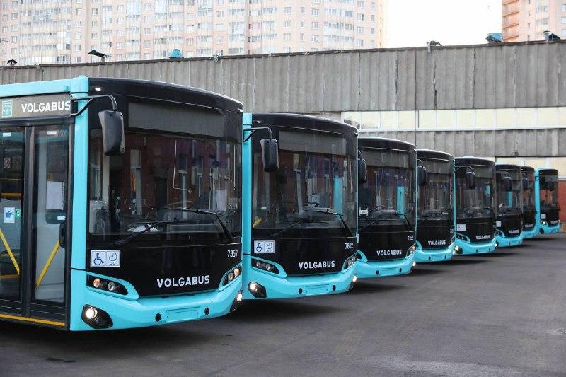 В Петербург поступили восемь новых автобусов-«гармошек» для самых загруженных маршрутов