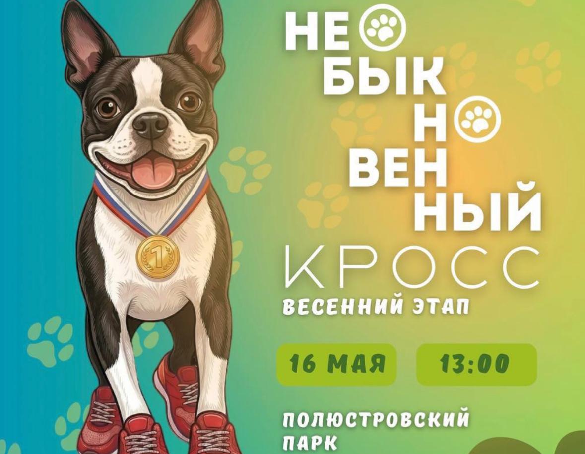 В Петербурге 16 мая пройдет «Необыкновенный кросс»